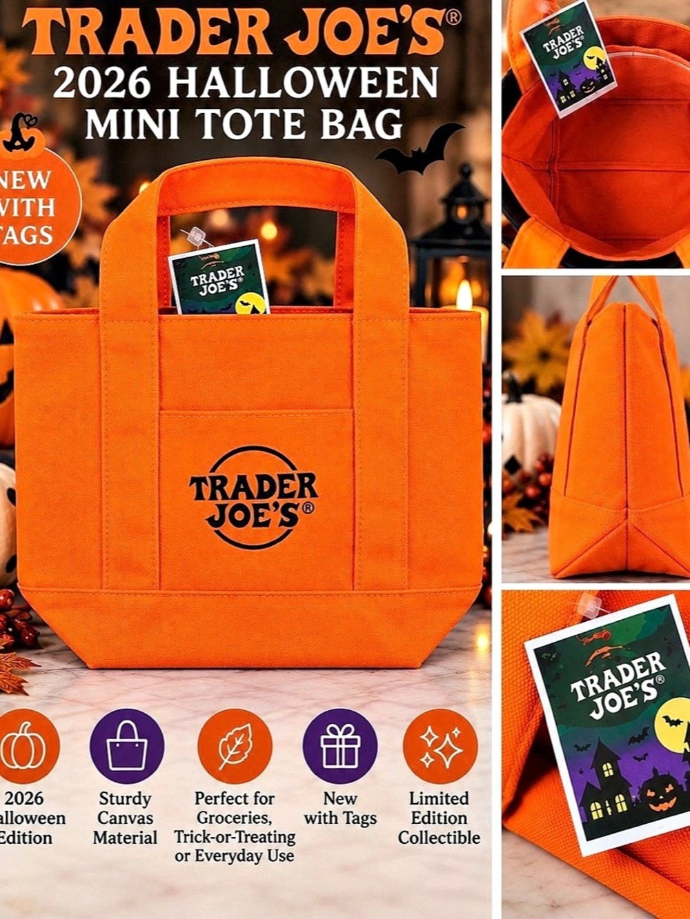 Trader Joe's 2026 Halloween Mini Tote Bag Orange NWT